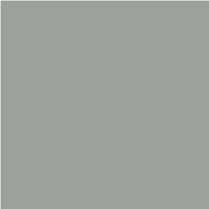 Dove Grey 100 Colour Swatch