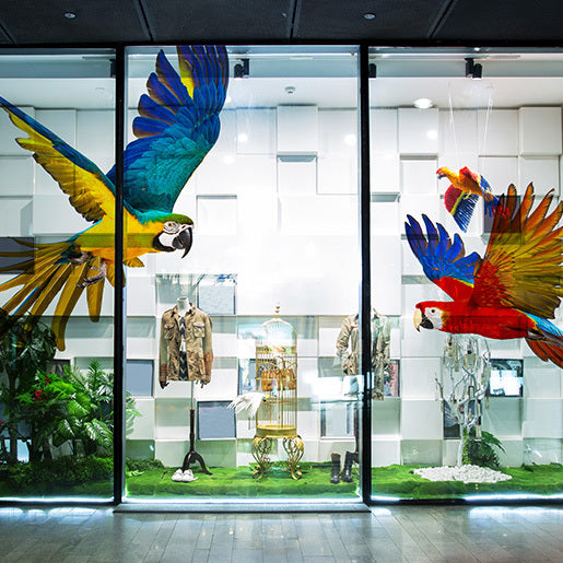 Imageperfect 2930 Ultra Clear