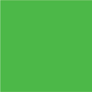 Lime Colour Swatch
